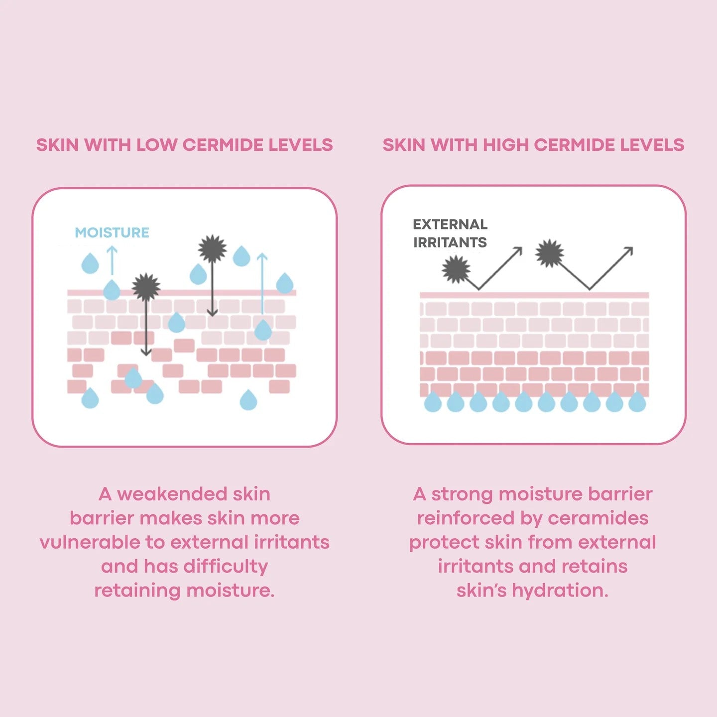 TM-Wonder Ceramide Mochi Toner